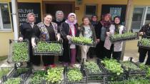 Silivri Belediyesi Kursiyer Kadınlara Fide Dağıtımı Yaptı
