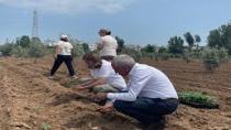 Tarsus Belediyesi, Slow Food Derneği Arasında Tarımsal Üretim İçinİşbirliği